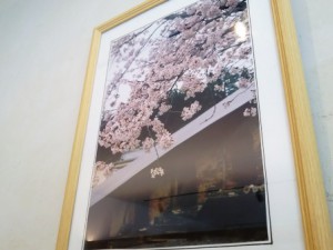 「ぶらり窯元めぐり」ではサクラが毎年きれいです(こちらの写真は前回の様子!)