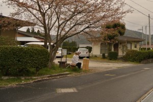 桜の木の下が毎年の定位置。