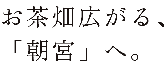 お茶畑広がる、「朝宮」へ。